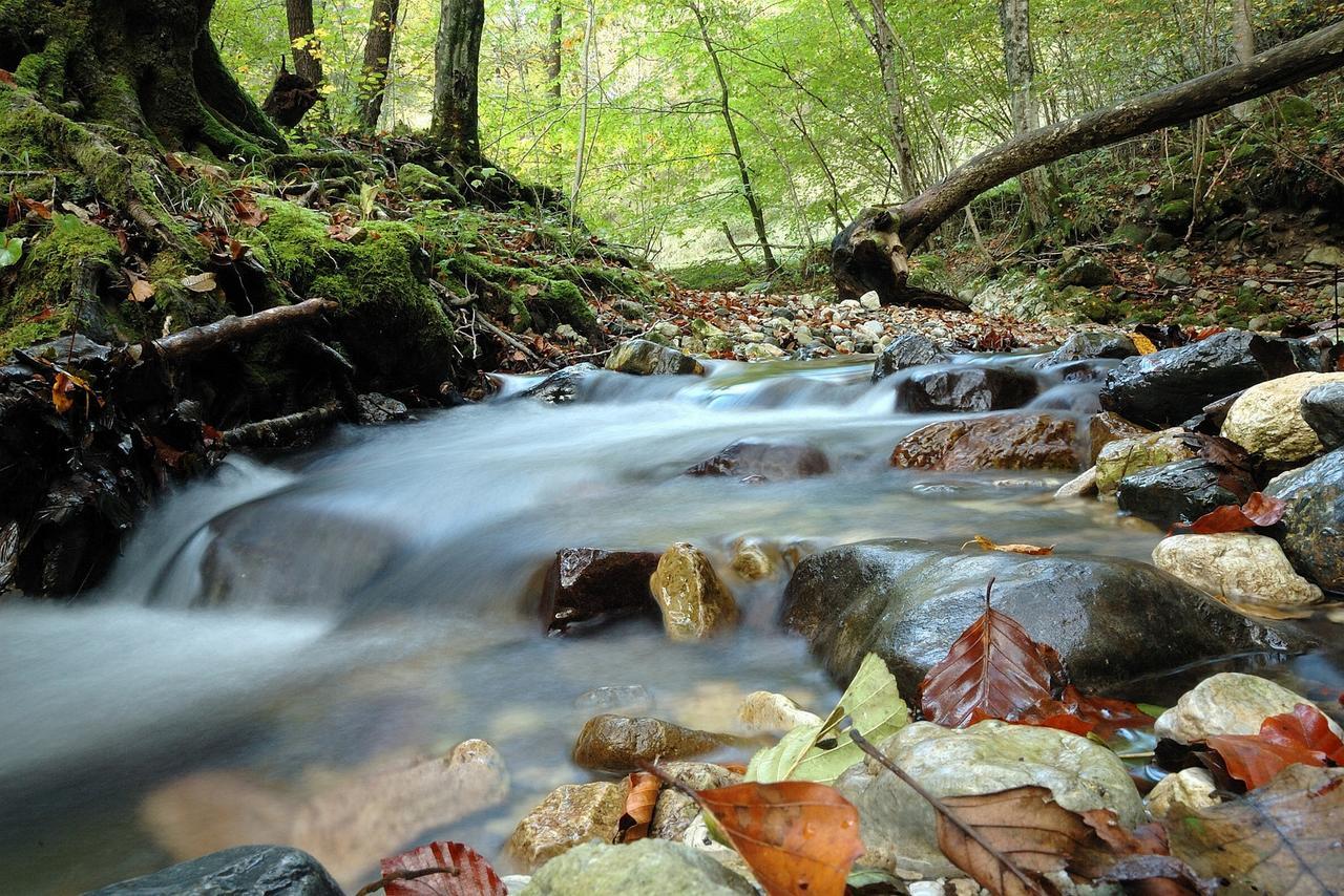 Prenocisca Cerkno Vandrarhem Exteriör bild