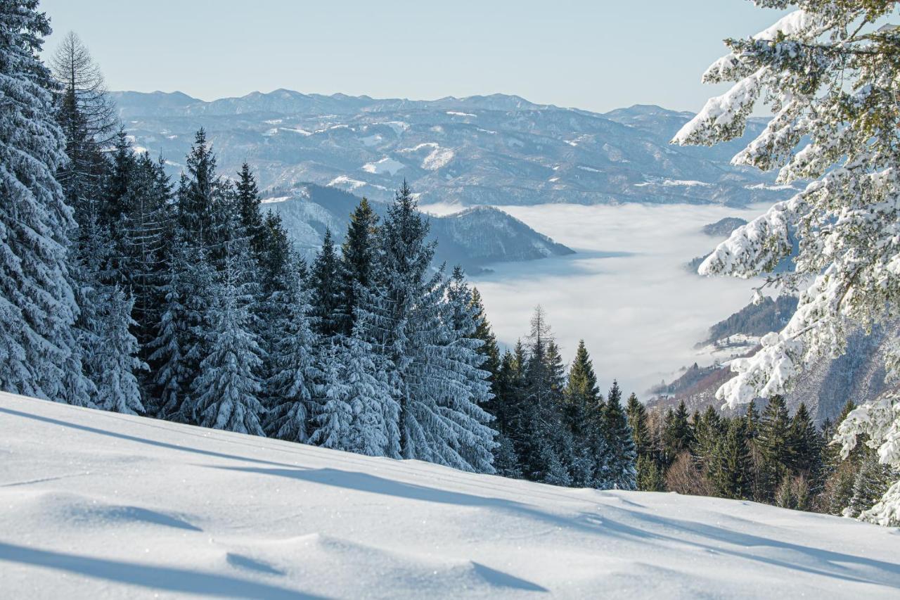 Prenocisca Cerkno Vandrarhem Exteriör bild